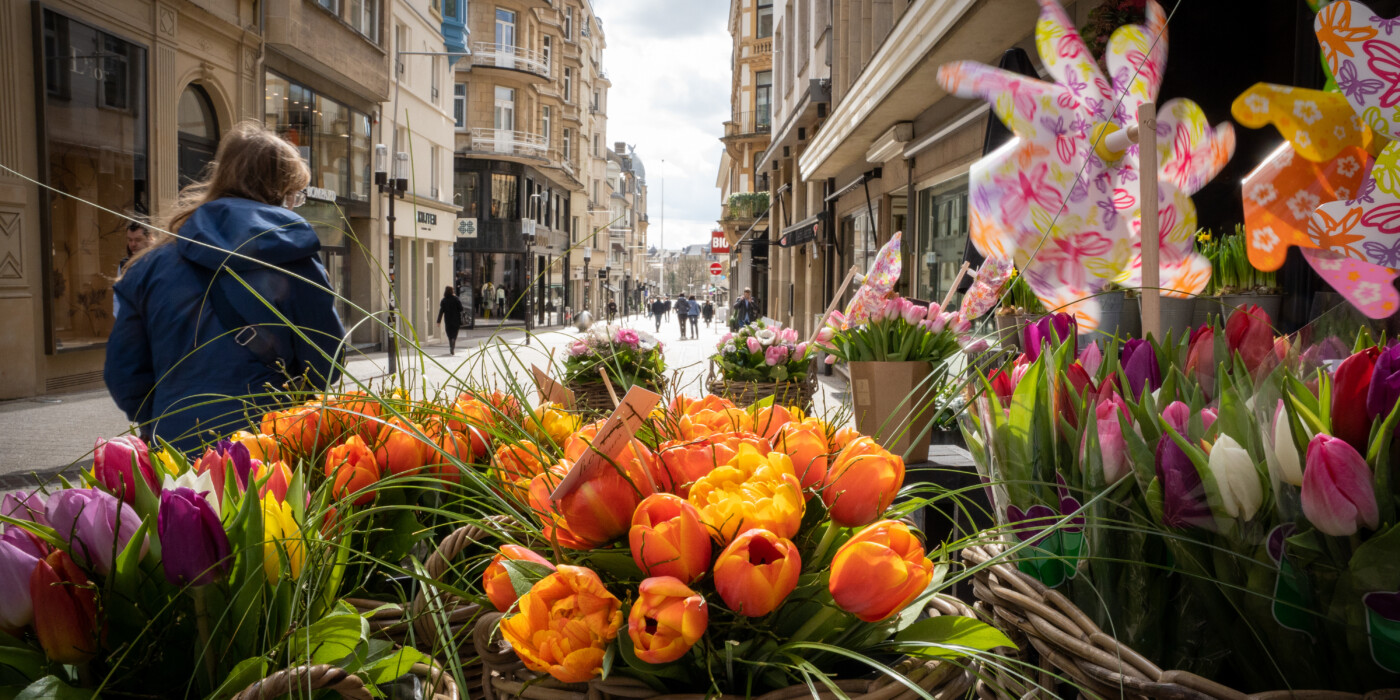 Fleurs fraîches devant un magasin de fleurs -rue commerçante Luxembourg ville