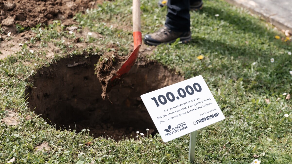 Banque Raiffeisen : 100.000 arbres plantés grâce aux cartes de crédit VISA durables !