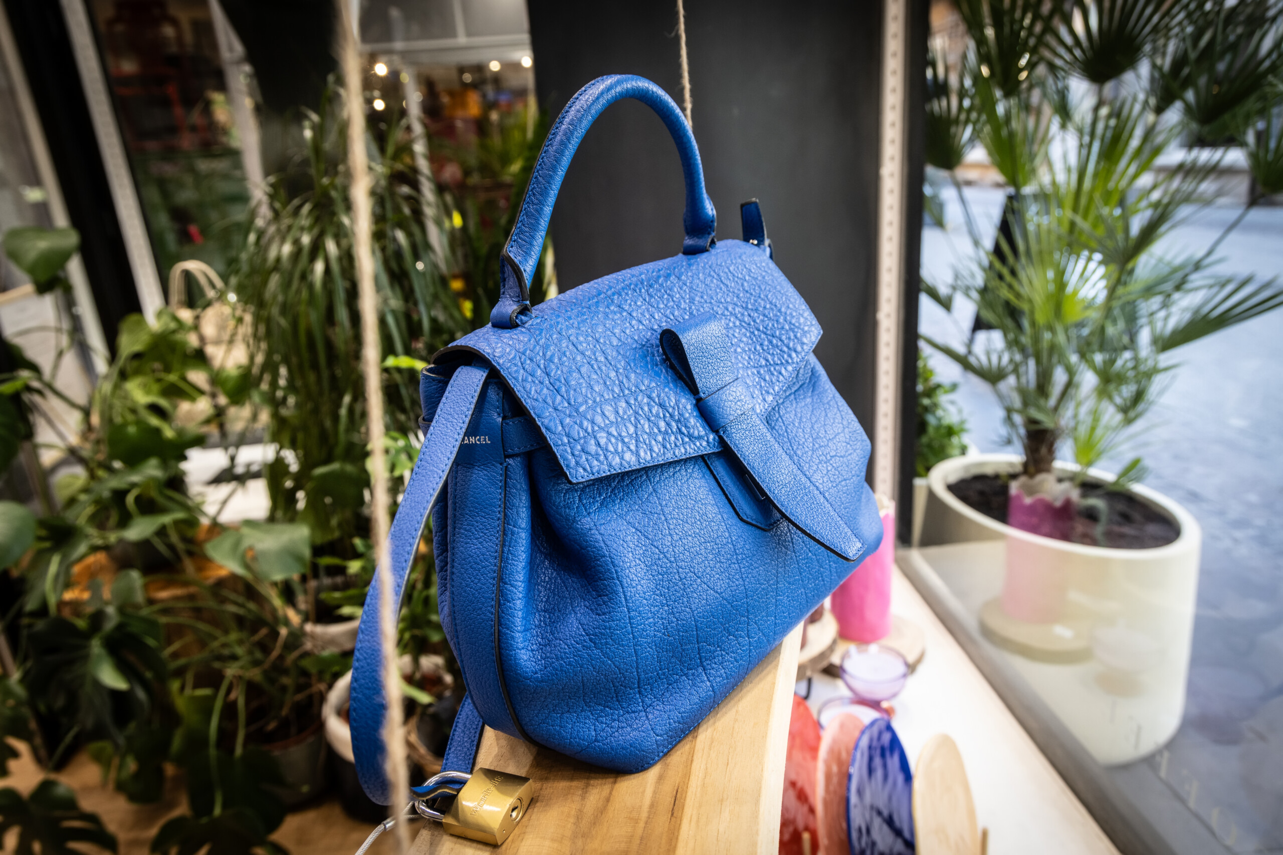 (crédit: Laurent Antonelli / Agence Blitz)