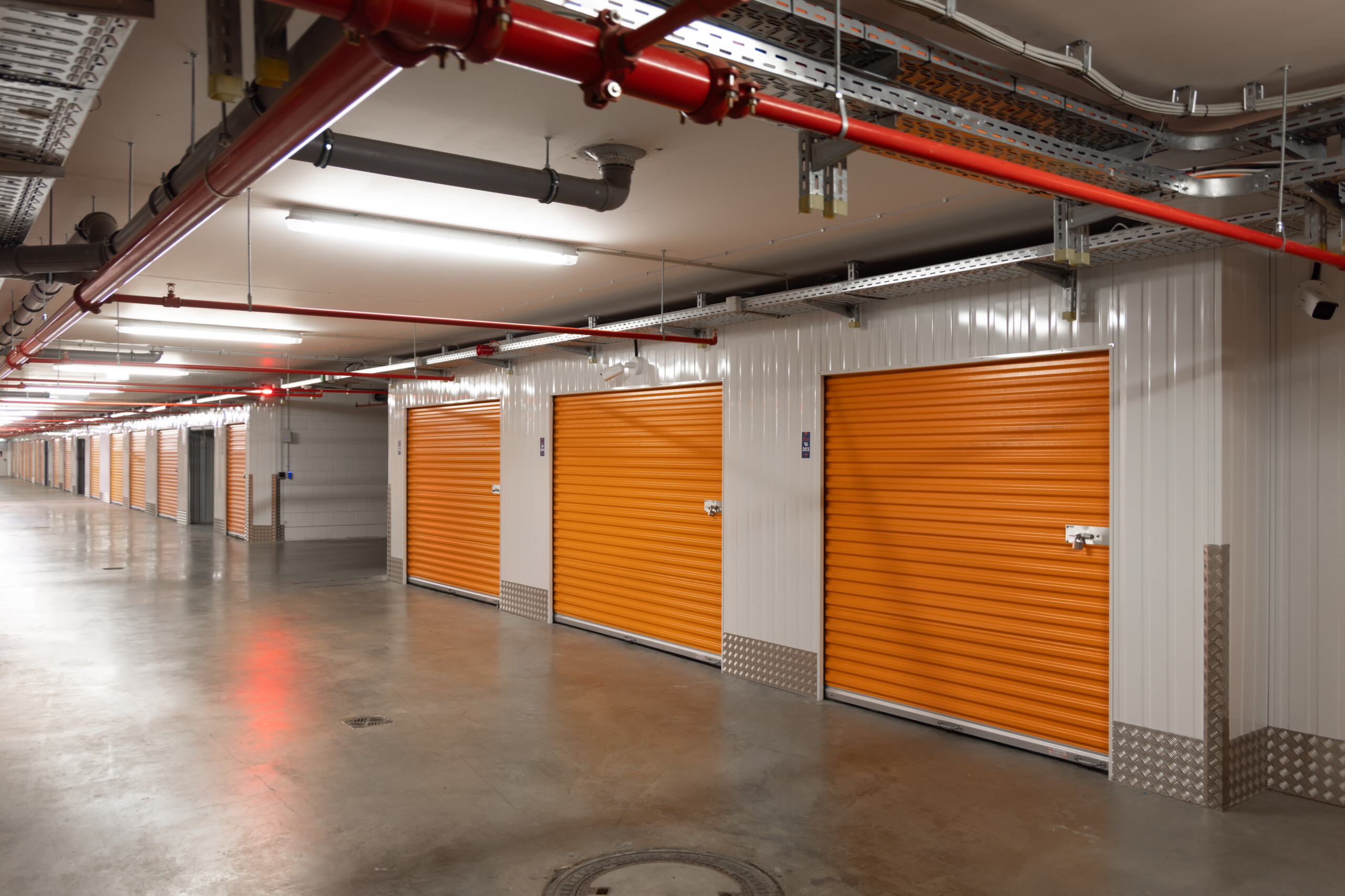 (crédit: Laurent Antonelli / Agence Blitz)