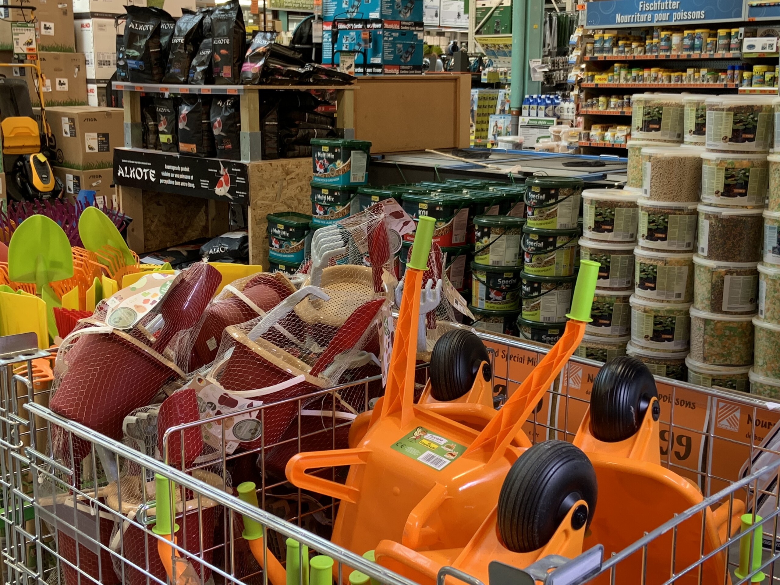 (copyright: C.Briault)