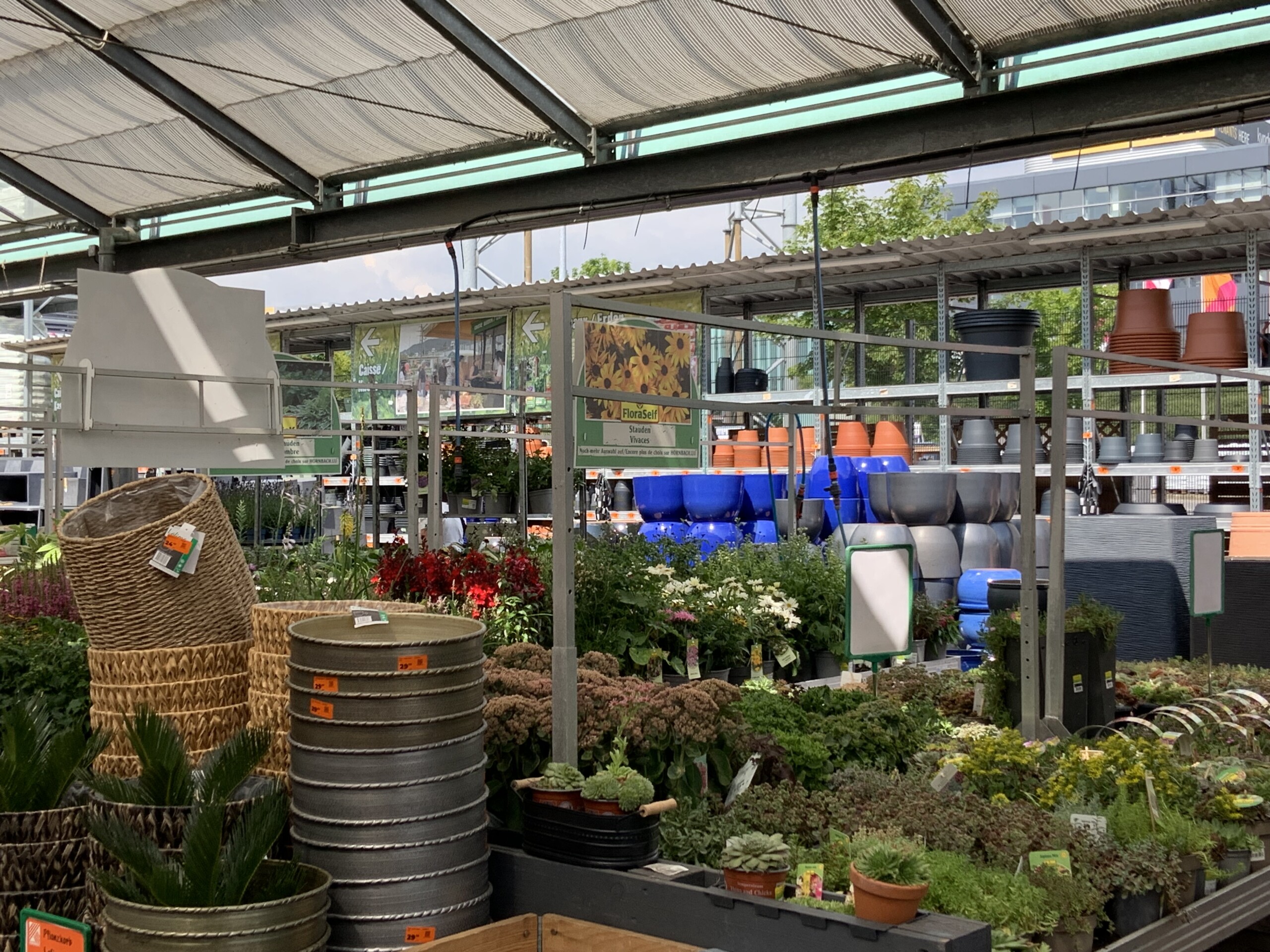 (copyright: C.Briault)