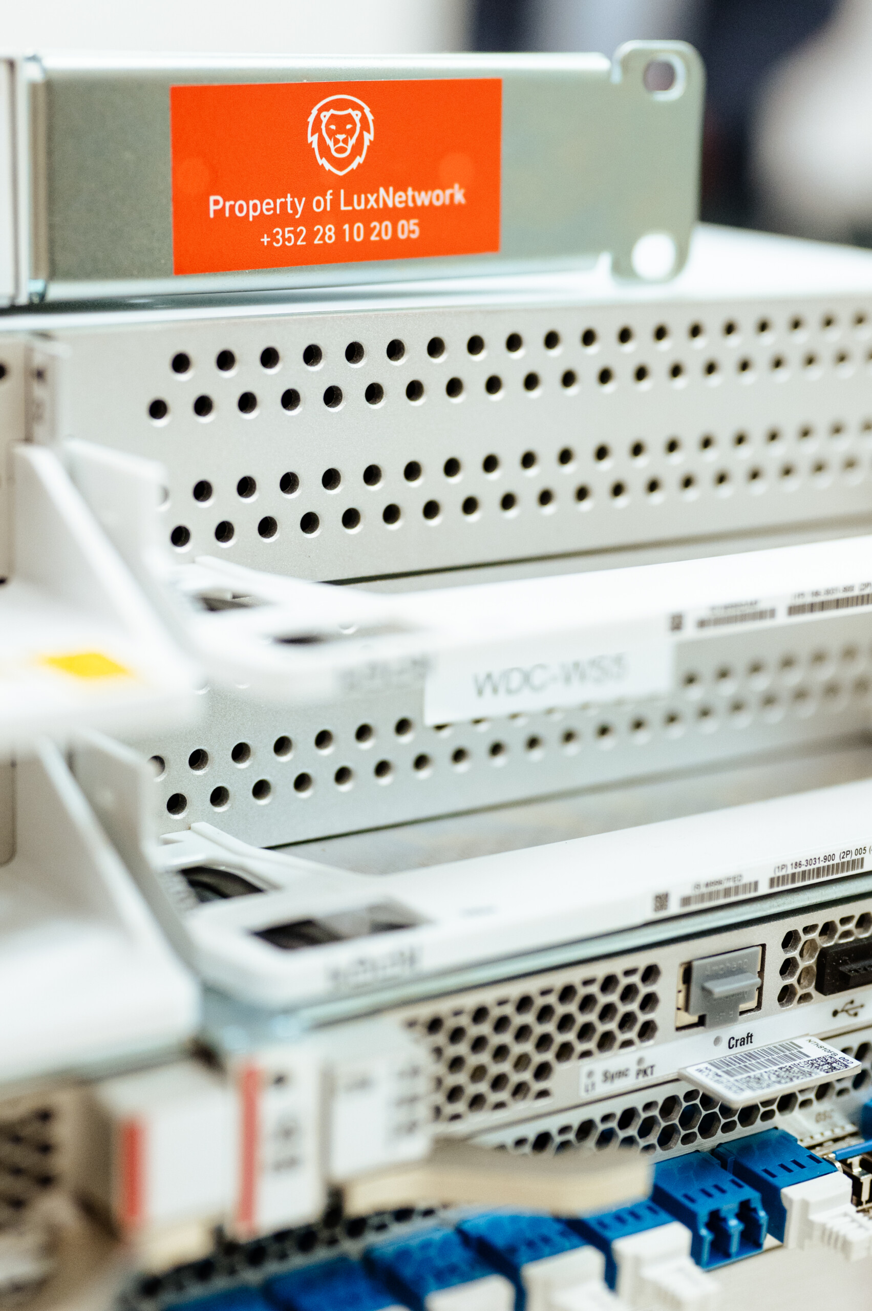 (crédit: Anouk Flesch)