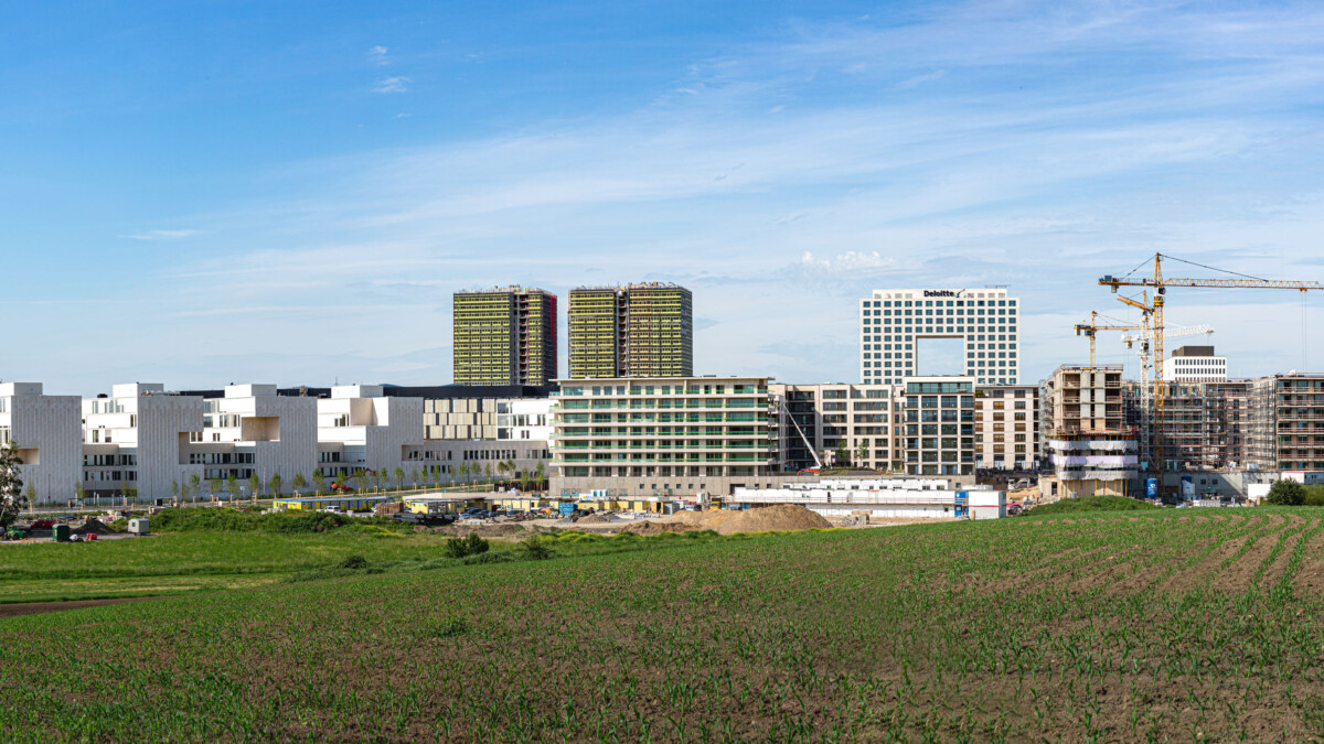 Préservation des sols et constructions neuves : y a‑t‑il nécessairement collision ?