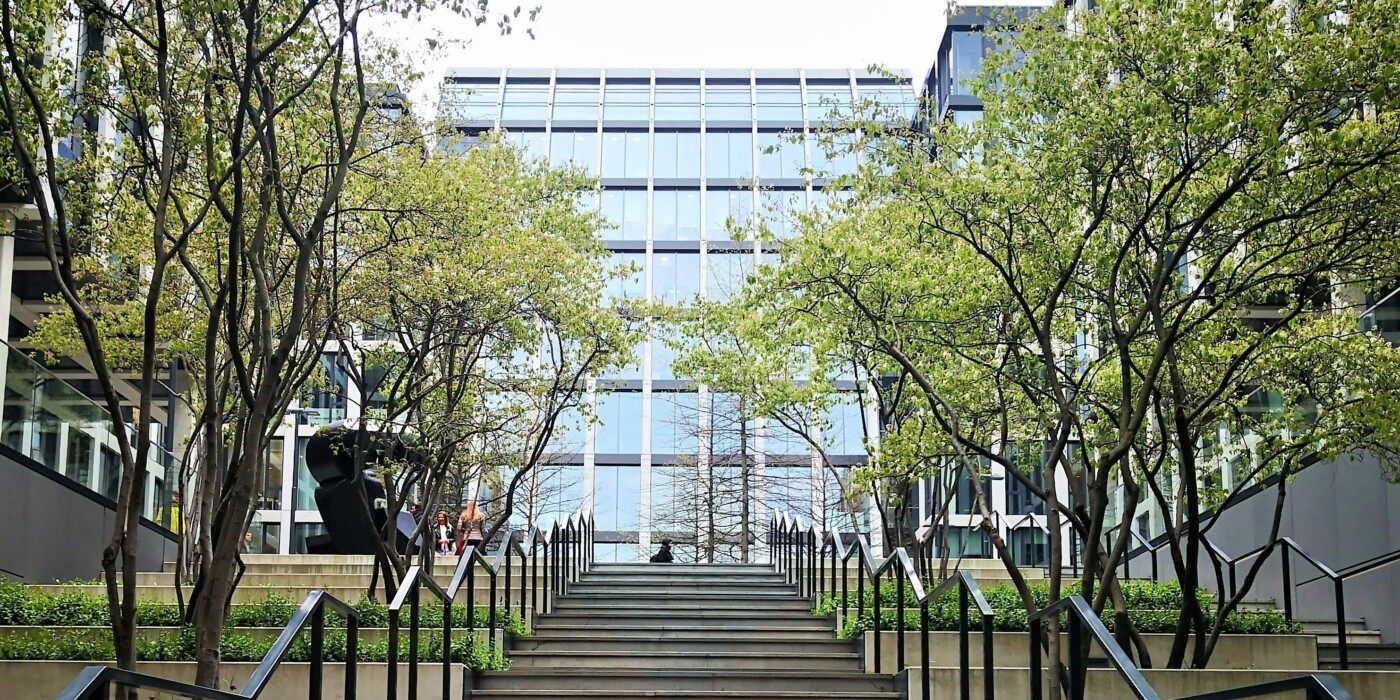 Quelques arbres plantés en escalier devant la façade d'un immeuble de bureaux