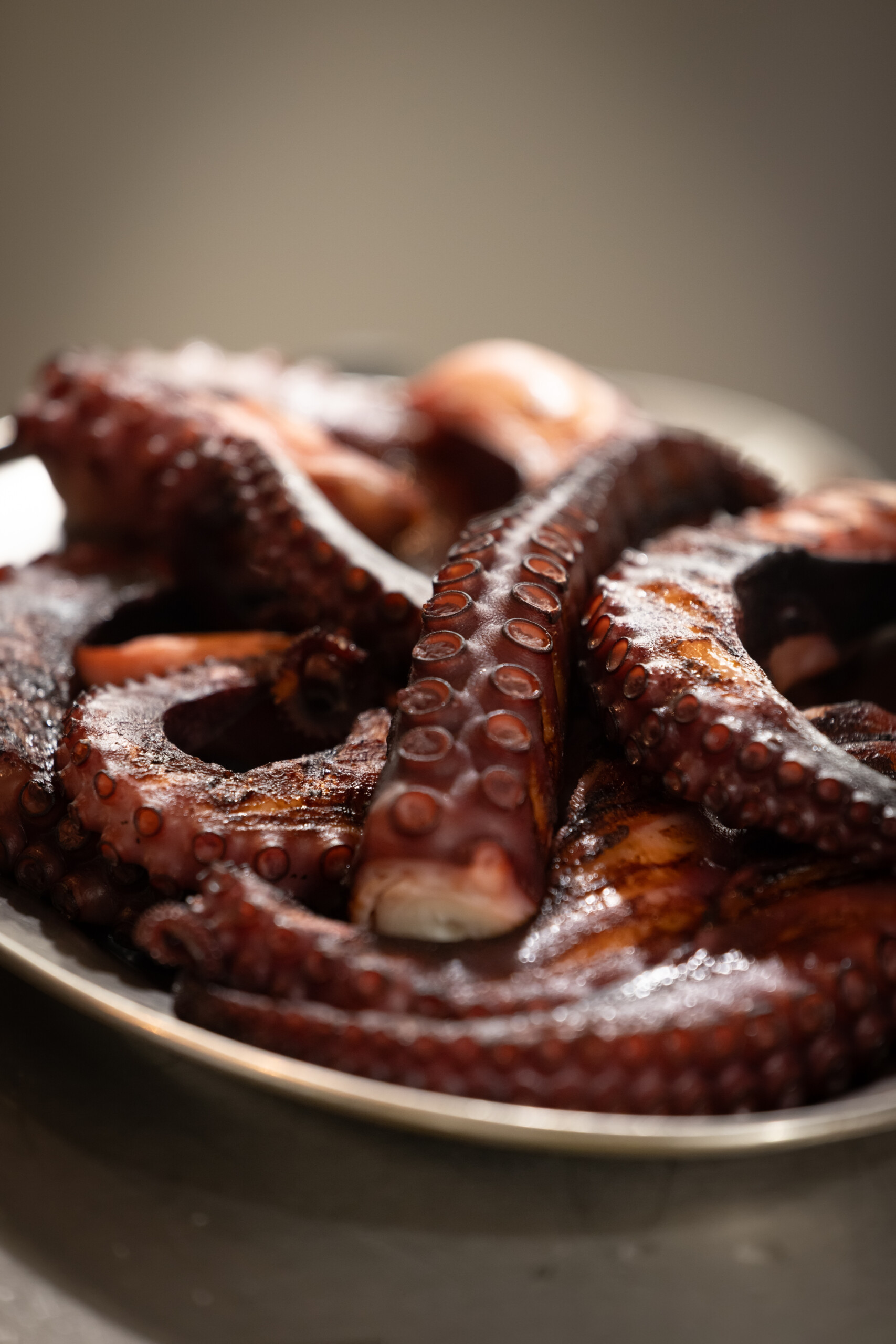 (crédit : Laurent Antonelli / Agence Blitz).