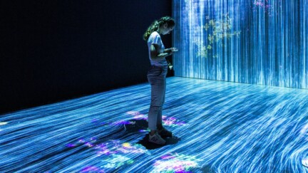 une personne debout au milieu de ce qui ressemble à des fibres optiques. En arrière fonds, des végétaux (branches et fleurs)