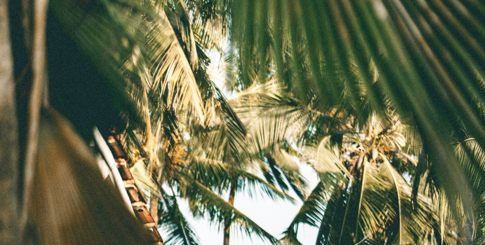 Paperjam et Continents Insolites lancent une collection exclusive de voyages