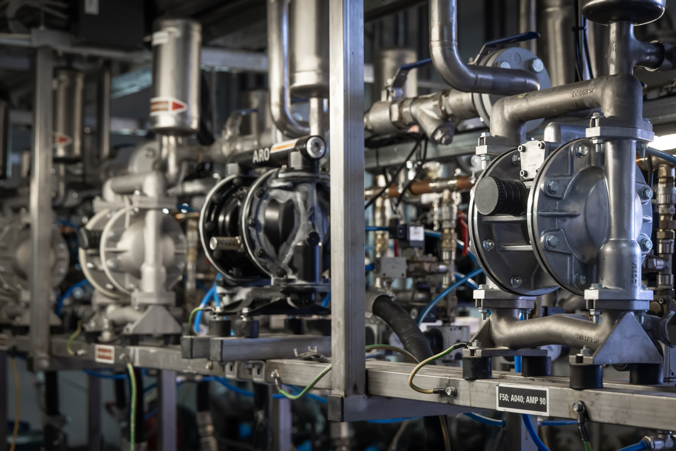 (crédit : Laurent Antonelli/agence Blitz)