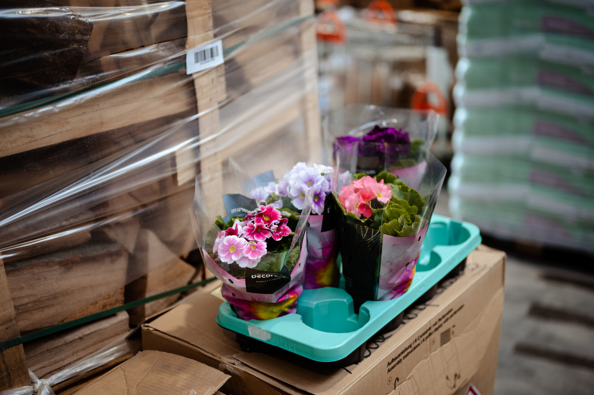 Als Großhändler vieler bekannter Qualitäts- und Markenprodukte ist GardiZoo heute die Referenz in Luxemburg und der Grenzregion, für Kunden wie Baumärkte, Gartencenter, Landhandel, Gemeinden (Kredit: Anouk Flesch)
