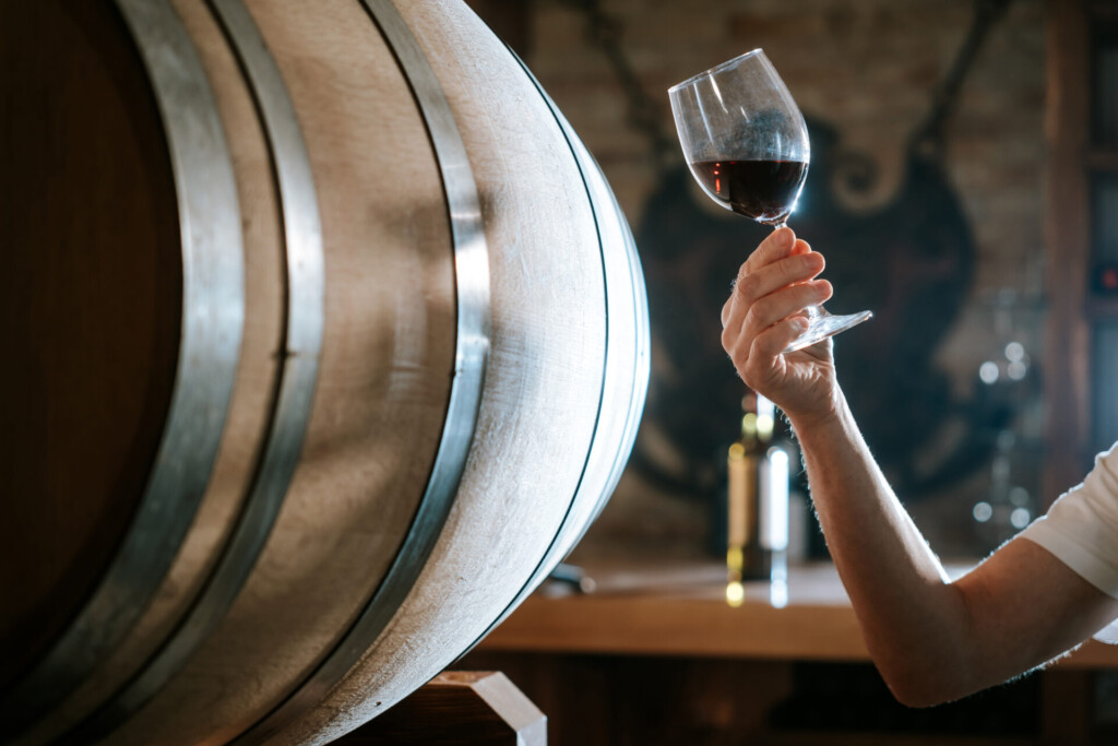 A wine expert holds a glass of red wine up to the light in a wine cellar, examining its color and clarity against a backdrop of wooden barrels