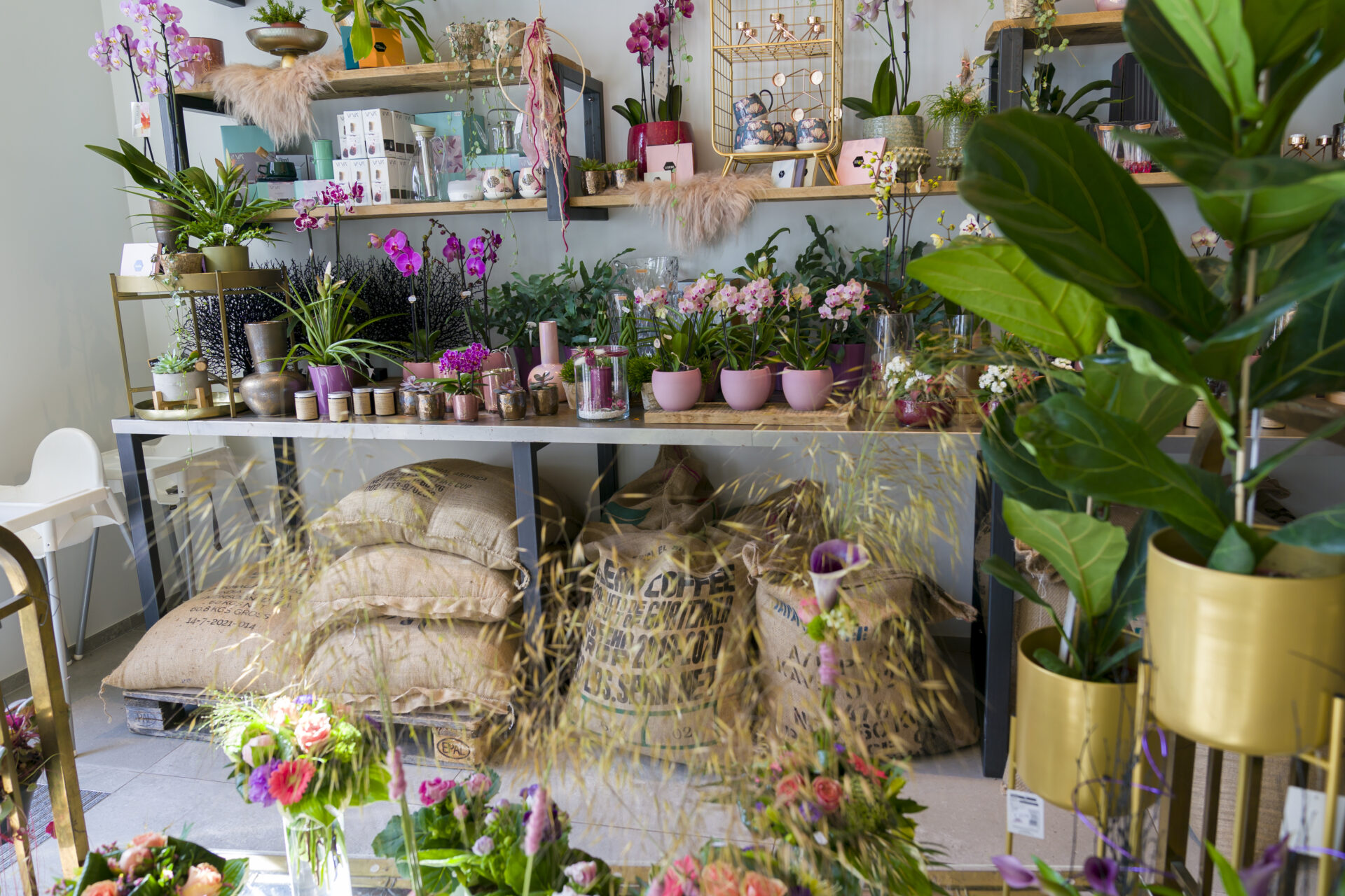 TorreFakt-Kaffee steht für ein Geschmackserlebnis allererster Güte. Neben bunter Flower-Power findet man in dem Store auch Pflanzen für Innen und Außen sowie ein ausgewähltes Sortiment an hippen Wohnaccessoires (Kredit: Emmanuel Claude/ Focalize)