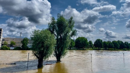 (crédit : Bernd Dittrich / Unsplash ) Risques climatiques : de la prise de conscience à l’action